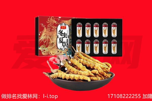金华磐安县回收虫草.jpg
